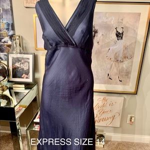 Express Navy Swiss Dot v-neck dress